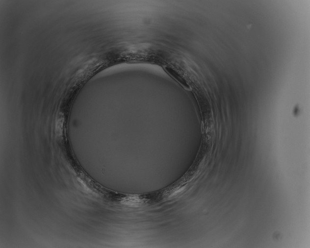 X0000094370231200711242007