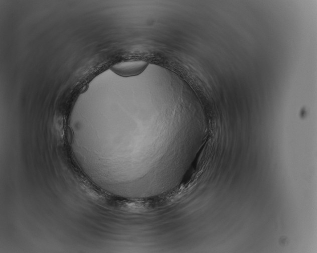 X0000094370232200711242007