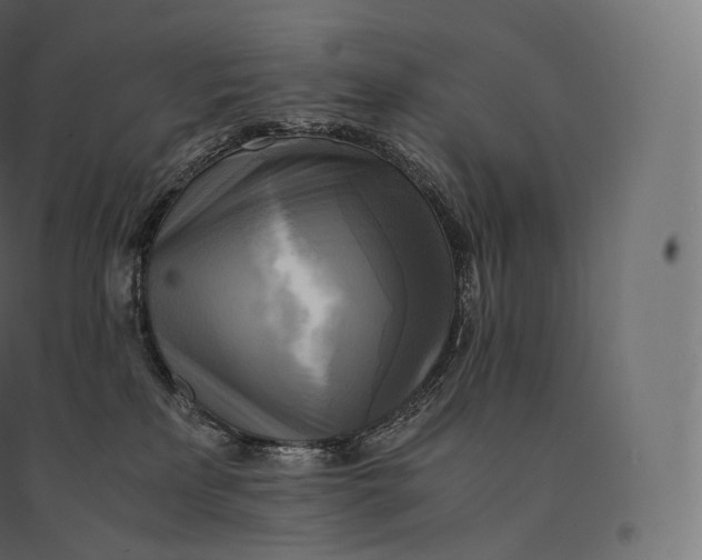 X0000094370233200711242007