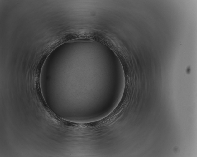 X0000094370235200711242007