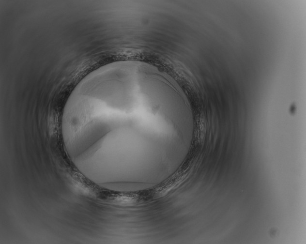 X0000094370236200711242007