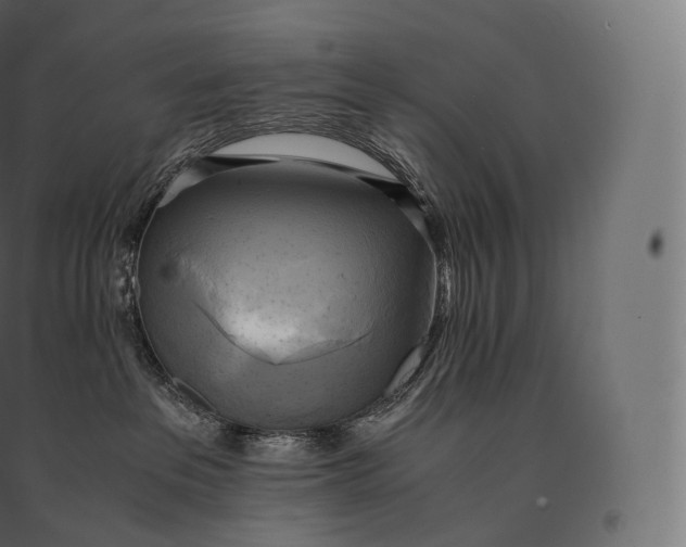 X0000094370237200711242007