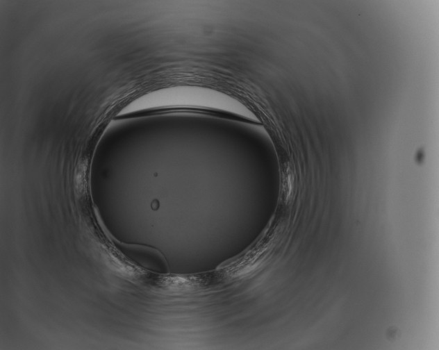 X0000094370239200711242007