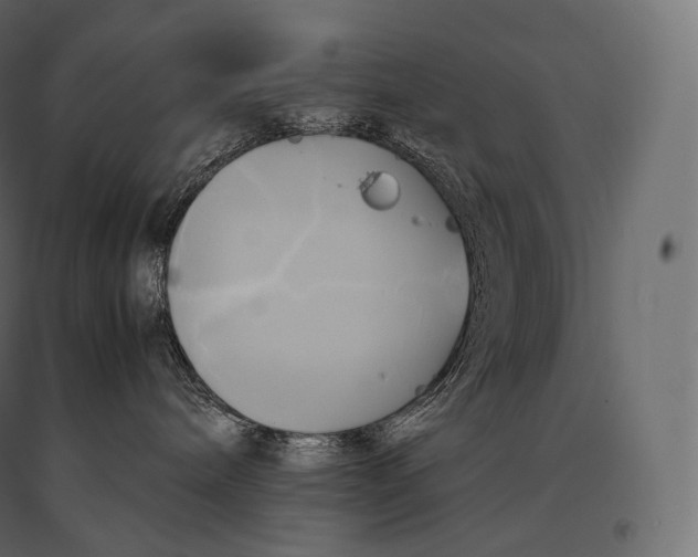 X0000094370240200711242007