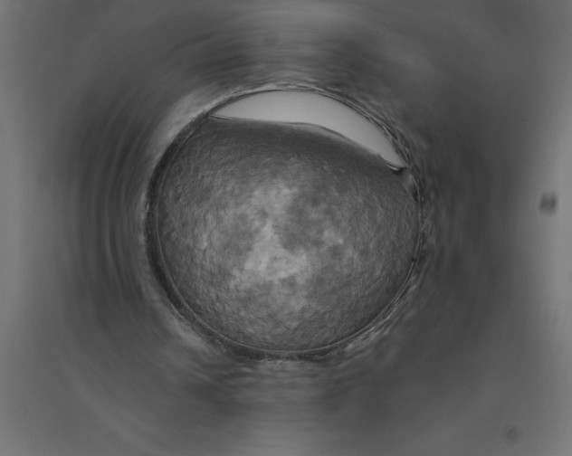 X0000094370242200711242006