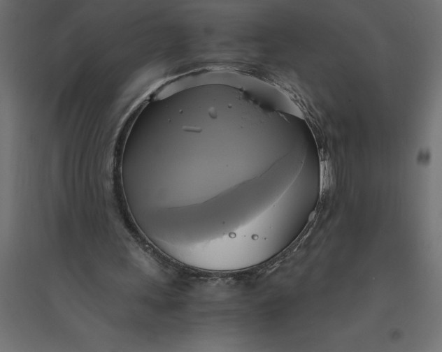 X0000094370243200711242006