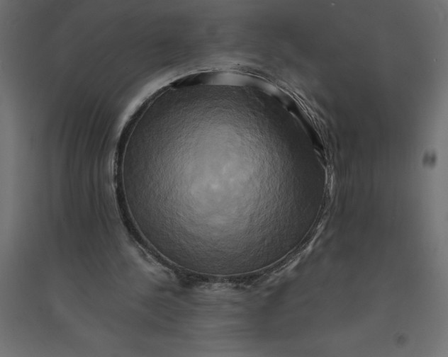 X0000094370244200711242006