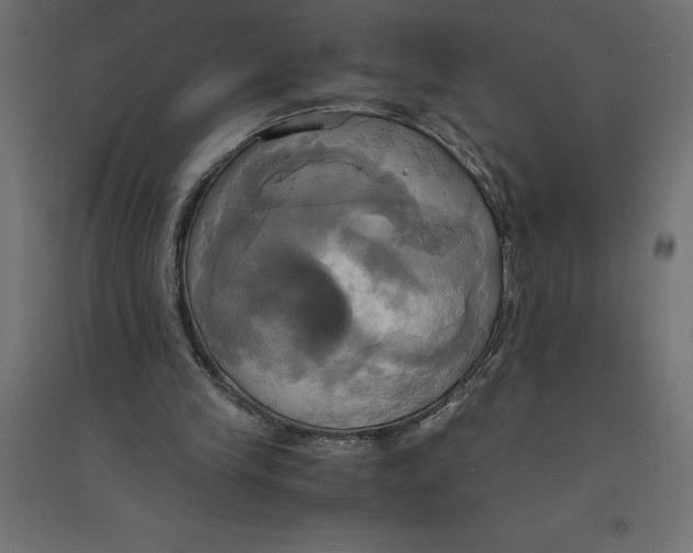 X0000094370245200711242006