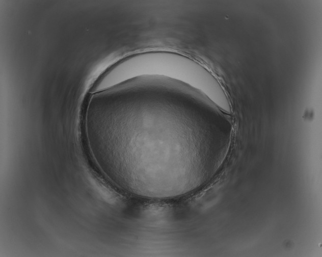 X0000094370248200711242006