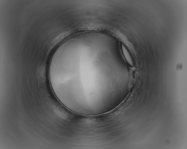 X0000094370250200711242006