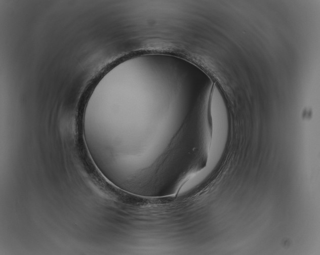 X0000094370252200711242006