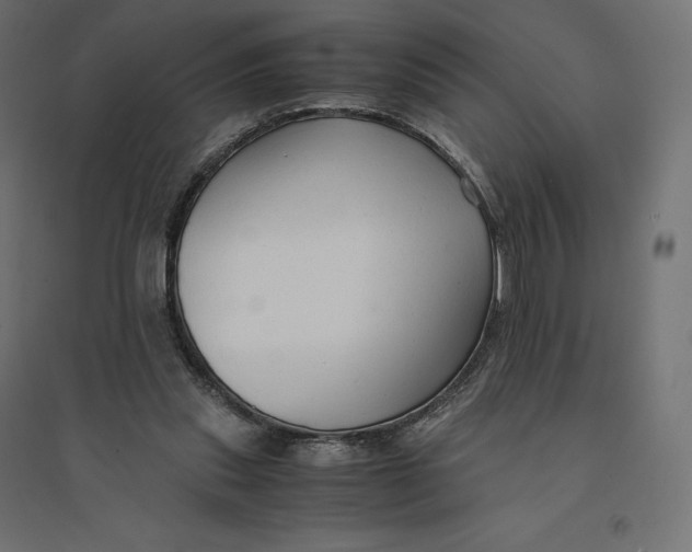 X0000094370253200711242006