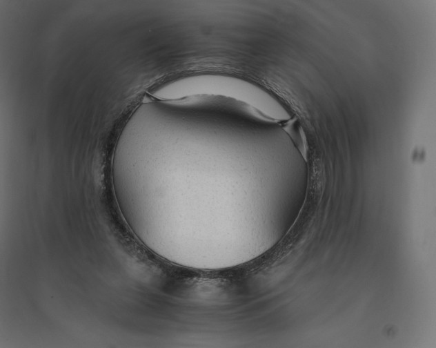 X0000094370255200711242006