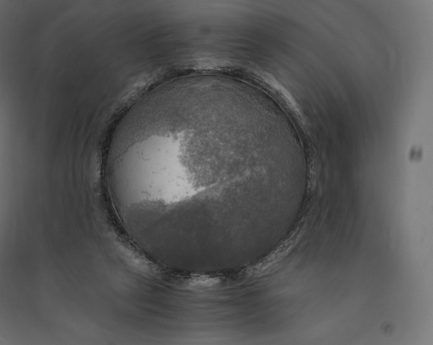 X0000094370257200711242006