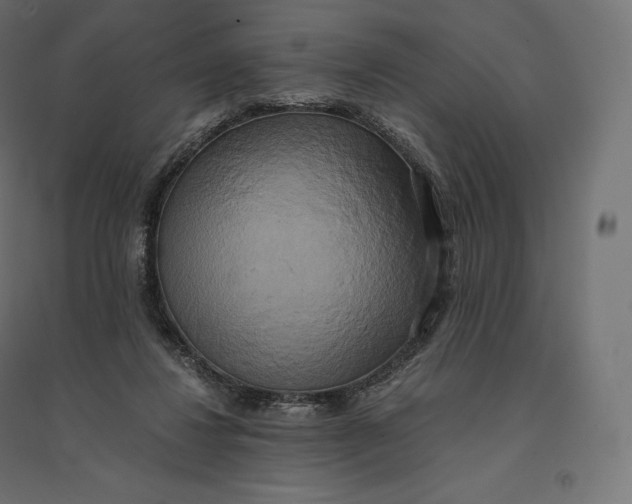 X0000094370260200711242006