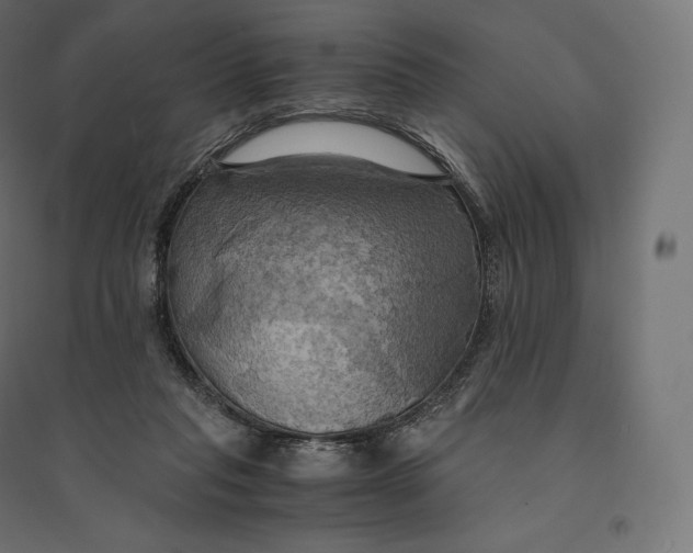 X0000094370261200711242006