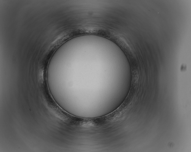 X0000094370262200711242006