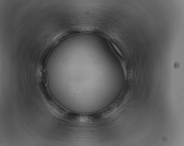 X0000094370264200711242006