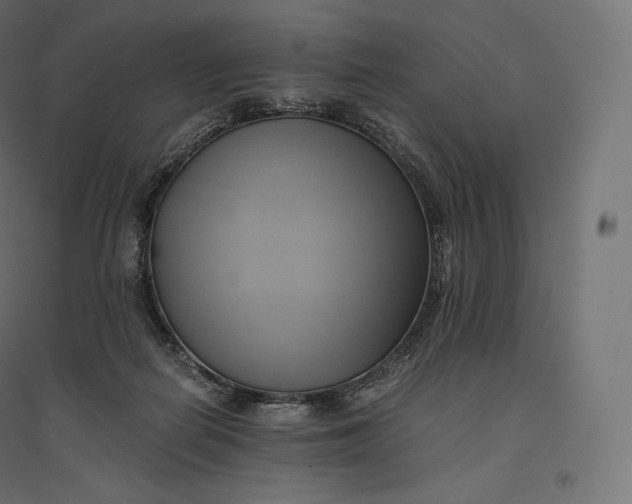 X0000094370266200711242006