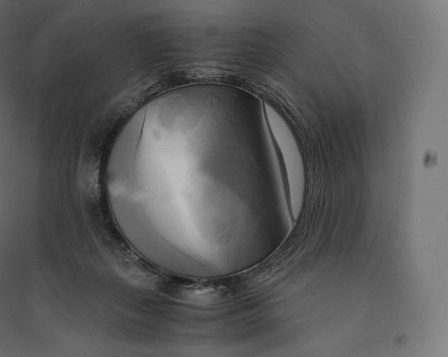 X0000094370267200711242006