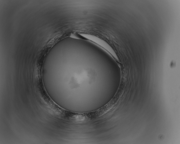 X0000094370272200711242006