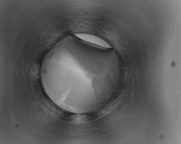 X0000094370273200711242006