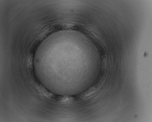 X0000094370274200711242006