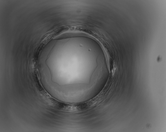 X0000094370276200711242006