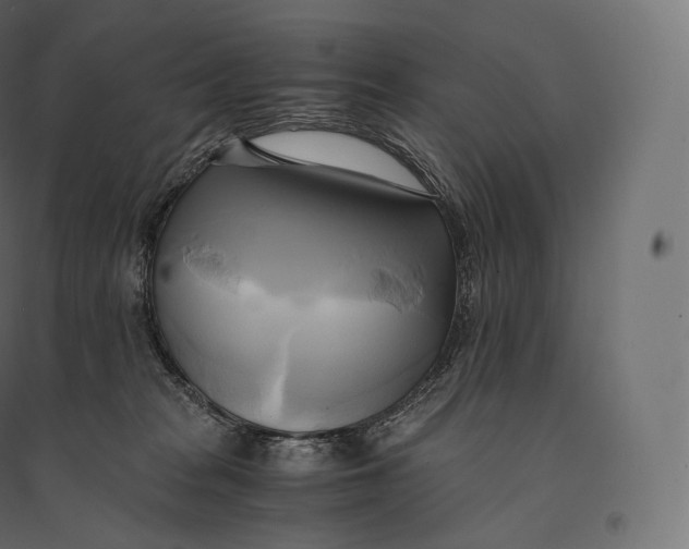 X0000094370277200711242006