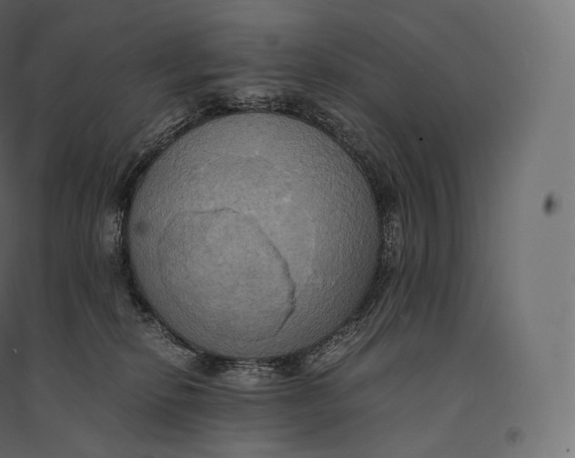 X0000094370278200711242006