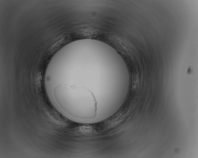 X0000094370279200711242006