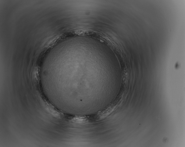 X0000094370280200711242006