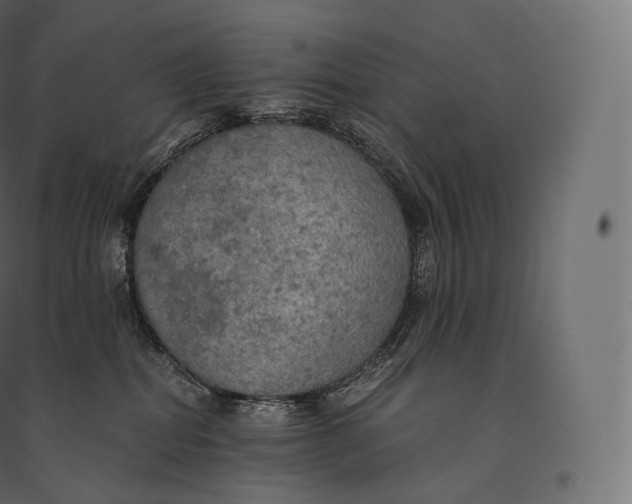 X0000094370282200711242006