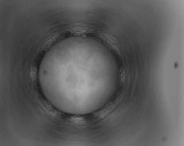 X0000094370283200711242006