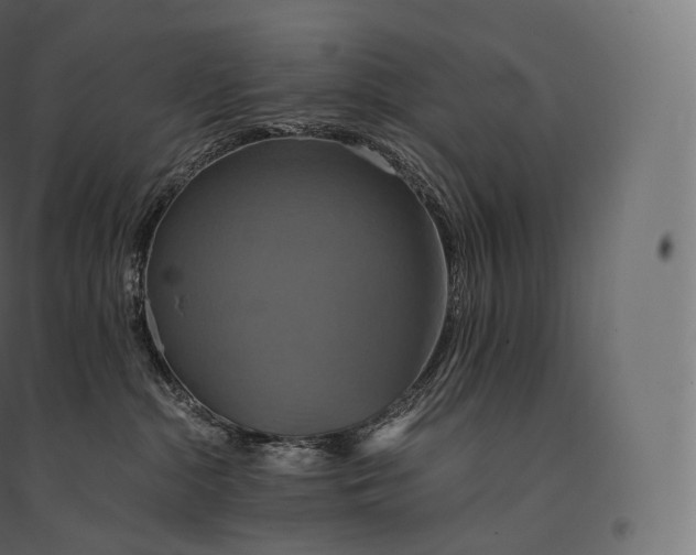 X0000094370284200711242006