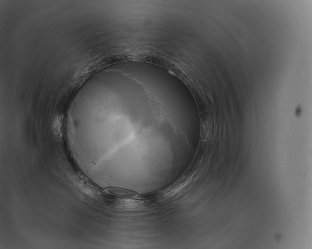 X0000094370286200711242007