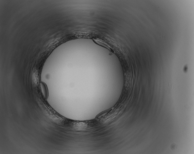 X0000094370287200711242007