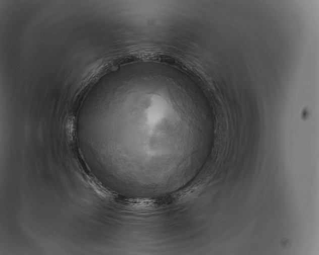 X0000094370288200711242007