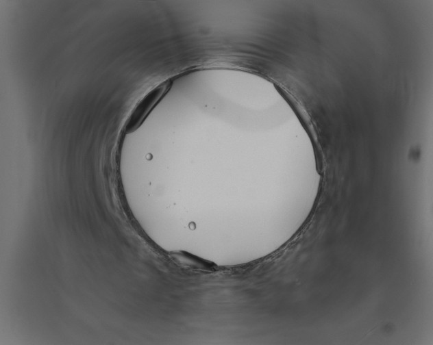 X0000094370289200711242006