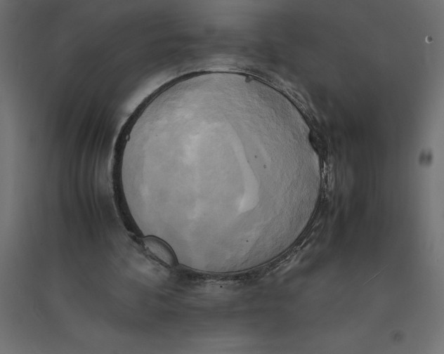 X0000094370292200711242006