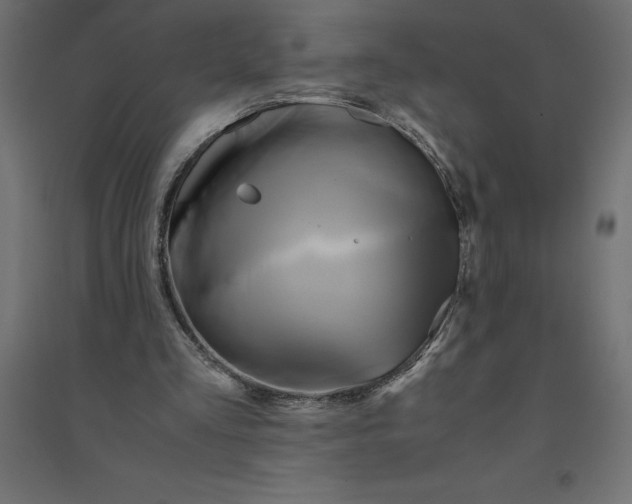 X0000094370293200711242006