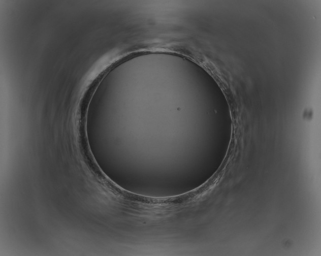 X0000094370295200711242006