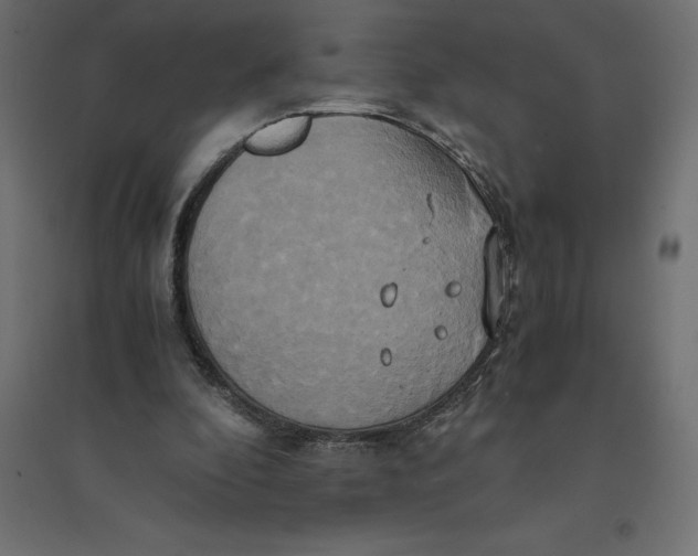 X0000094370296200711242006