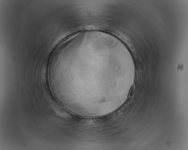 X0000094370297200711242006