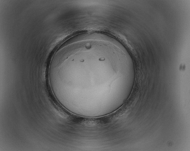 X0000094370299200711242006