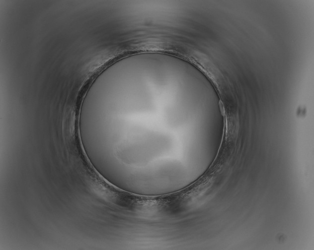 X0000094370301200711242006