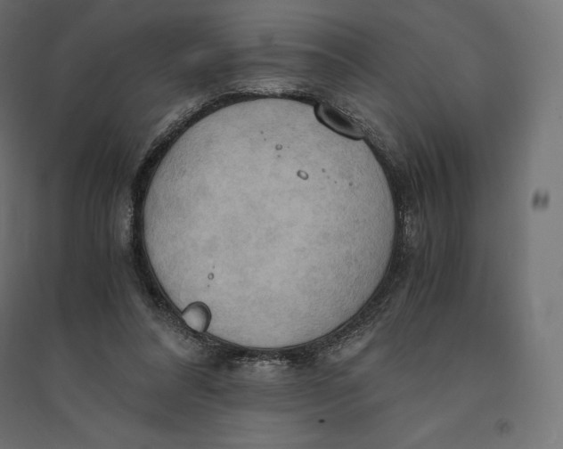 X0000094370304200711242006