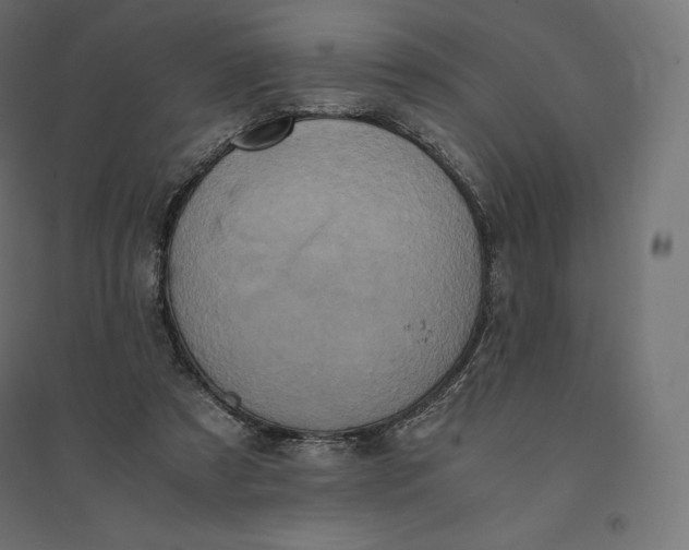 X0000094370305200711242006