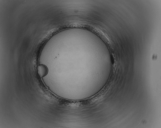 X0000094370306200711242006