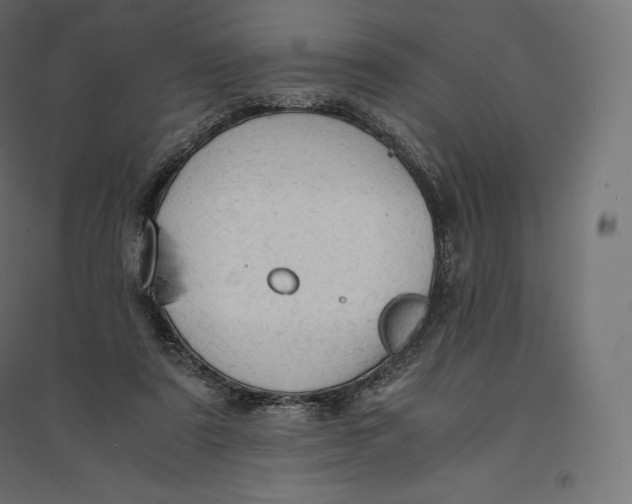 X0000094370307200711242006